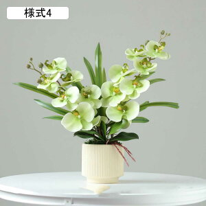  t[ l3 FreeSize ͂Ȃ  lHϗtA ԕrt ԃZbg u CeA  v[g rO  _CjO a Mtg p z[ 뉀