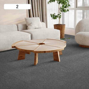 OJ[ybg k Ԗ͗l 􂦂 h ᔽ GR n vgO}bg 200*4M  i ϖՐ 05 h L~ Ki}bg I[V[Y イ Lb` Q