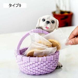 ̒u [ F WG[[ WG[gC CeA  ̎q  ANZT[ Z~bN z_[  [gC  lR̒u ^Cv2 