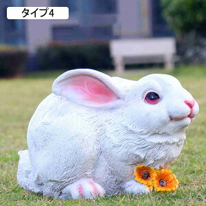  rbg ^Cv6 K[fI[ig u K[fjOG F   ֏ CeA AEghA   fR[V 킢  Op K[fpi K[f