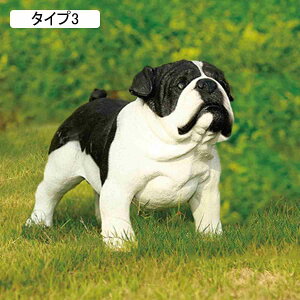 ̃IuWFu  O ̒u IuWF u ^Cv1 nXL[ hbO ɒu̒u  k  u ^ K[f u 킢 oRj[A뉀AArO