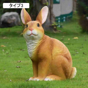  rbg  u Op F K[fjOG I[ig ̒u K[f Aj}IuWF  K[f G I[ig u MtgΉ v[g CeAG 