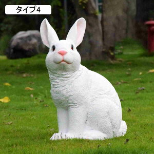  rbg  u Op F K[fjOG I[ig ̒u K[f Aj}IuWF  K[f G I[ig u MtgΉ v[g CeAG 