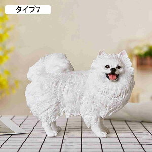 ̒u |jA IuWF K[f  Ck  I[ig F K[f IuWF  G K[fjO CeA }XRbg A zj 蕨 i Ƃ̑ 