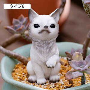 uK[fIuWF  ˂ ˂ L  K[fjOObY ̒u ̒u I[ig ގ Ԓd̒u F K[fjOu ^Cv7 Aj}IuWF YȒu 