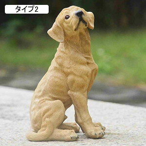 ˂ u Jg[G K[fjO  K[fjOG L A  Ő r K[fI[ig ^Cv1  h ϋv   IuWF K[f  F v[