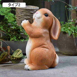 K[fjOG K[fI[ig e { ̒u    EFJ ^Cv3 K[fjO K[f G I[ig  u ̒u F Aj} 