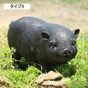 u CeA K[fjO K[fI[ig v[g ^Cv5  K[f ~j`Au fXNgbv 킢  pig    F ItBX p 