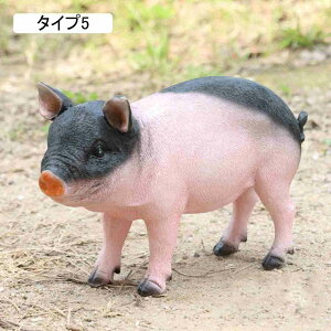 u CeA K[fjO K[fI[ig v[g ^Cv5  K[f ~j`Au fXNgbv 킢  pig    F ItBX p 