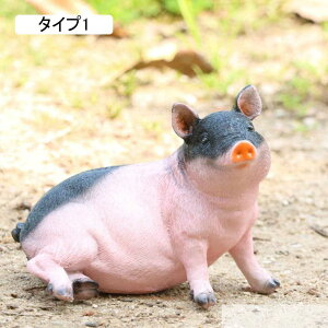 u CeA K[fjO K[fI[ig v[g ^Cv5  K[f ~j`Au fXNgbv 킢  pig    F ItBX p 