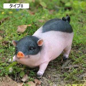 u CeA K[fjO K[fI[ig v[g ^Cv5  K[f ~j`Au fXNgbv 킢  pig    F ItBX p 