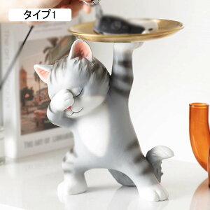 ˂̑̎[gC Ƃ̑ F lR u ԃe[ȗ L[[gC u ֎[ [ [ WG[  rv ϕi ^Cv5 @\[ ʔ a