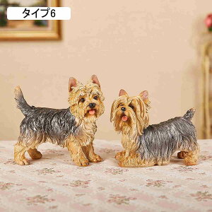 u K[fjO   |jA 蕨    K[f IuWF I[ig G CeA IV   F O  o Ki  v[g ^Cv3 