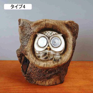 \[[Cg 킢 tNE  K[fI[ig \[[u uCg Ə O F AEghA fpi  _ 뉀 z  ^Cv3  i Ő