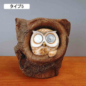 \[[Cg 킢 tNE  K[fI[ig \[[u uCg Ə O F AEghA fpi  _ 뉀 z  ^Cv3  i Ő