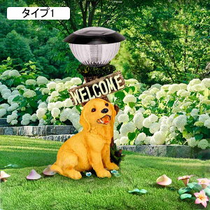 \[[ K[fCg F K[fI[ig Ԓd \[[Cg uCg O O 킢Cg | ^Cv2 G  킢v[g  p O 