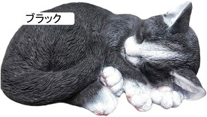 L̒u Tog W K[fI[ig CeA Mtg œKȃv[g (O[)