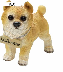 ̒u EFJ Č K[f x_  O  o Ki CeA v[g (Č)