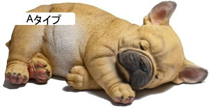 ̒u t`uhbO W K[fI[ig CeA Mtg œKȃv[g (B^Cv)