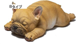 ̒u t`uhbO W K[fI[ig CeA Mtg œKȃv[g (B^Cv)