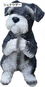 ̒u 肢hbN W K[fI[ig CeA Mtg œKȃv[g (rVt[[)