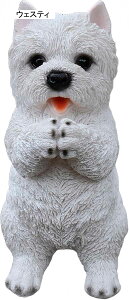 ̒u 肢hbN W K[fI[ig CeA Mtg œKȃv[g (rVt[[)