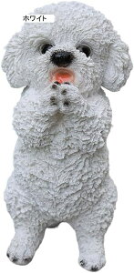 ̒u rVt[[ W K[fI[ig CeA Mtg œKȃv[g (zCg)