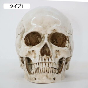 H|i u W s nEB[ I[ig XJ K[fjOIuWF u ANZT[  ^Cv ͋C j[N v[g  㖱 I[ig { f