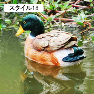 JG u X^C14 IuWF u    ~J u K[fjO  u CeAG JG 킢  k  u h ϋv K[f IuW