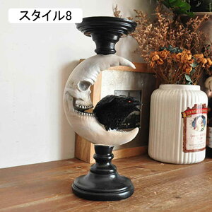  u W nEB K[f CeA X^C3   fR[V z[ | ObY փNGCeBu z[fR[V EGJu 킢  I[