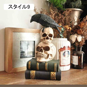  u W nEB K[f CeA X^C3   fR[V z[ | ObY փNGCeBu z[fR[V EGJu 킢  I[