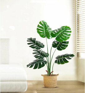 lHϗtA ^ tFCNO[  ϗtA sv CeAO[    ItBX CeA Xe lHϗtA ϗtAtFCN ^ lHϗtA