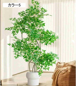 ie tFCNO[ lHϗtA 2.2M ͂Ȃ a  rO J[4 ItBX i 뉀 t sv N tFCNvc CeAO[ A 220