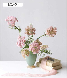 ԃZbg u[P ԕrZbg tFCNt[   AWg { ItBX  ze AȌ Iȑ lHA F i`̃u[P ԑ u 