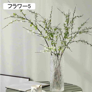  CeA [Y  ԃu[P lHϗtA  AWg CeA ԕrt tFCNt[  ϑސF t[6 ό  zj Vzj X܏