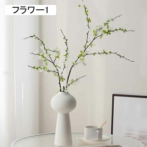  CeA [Y  ԃu[P lHϗtA  AWg CeA ԕrt tFCNt[  ϑސF t[6 ό  zj Vzj X܏