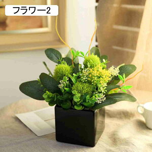  tFCNt[ { t[3  F tFCNO[ Iȑ AȎ KXԕrt tFCNO[ VNt[ CeAG  r