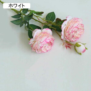 10{Zbg  F*10 o [Y KN AW CeA { A ꂢ ͂Ȃ t[AW N₩ȐF \tgG ͂Ȃ  v|[Y a o