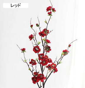  10{Zbg ~̉ ~  CeA A[gt[ ͂Ȃ VN F*3 v[g VNO ͂Ȃ sN z[ EFfBOfR[V e[uZ^[s[