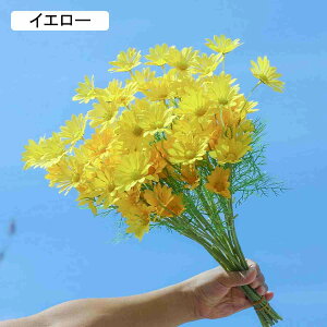 10{Zbg  Ԃ݂fCW[ Rȕ͋C {݂ CG[ `[bvu[P ͂Ȃ  o^Cf[ ̓ F*10 a Mtg ͂Ȃ CeA Rȕ