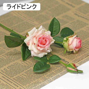  o [Yԑ 3{Zbg KNԑ CeA A[gt[  ͂Ȃ VN ̓ F*3 v[g VNO ͂Ȃ  sN z[ EFfBOfR[V