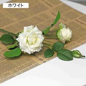  o [Yԑ 3{Zbg KNԑ CeA A[gt[  ͂Ȃ VN ̓ F*3 v[g VNO ͂Ȃ  sN z[ EFfBOfR[V