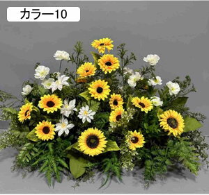  lH lHϗtA  U̗t   tFXeBo NX}Xp[eB[ lHϗtA ̉ 艺 ԏ CeA ͂Ȃ J[10 lH Xܑ