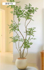 lHϗtA ^ CeA { J[1 ^i  V| tFCNO[  rO X Cxg RȎ 210CM ͂Ȃ R[i[p ͂Ȃ gݗĊ