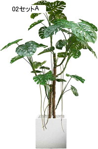 pL ^  02Zbg lHϗtA J^ CeA { 240CM ͂Ȃ i tFCNO[  rO Xܑ Cxg RȎ R[i[p 