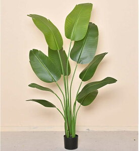 ^ lHϗtA ϗt tFCN ItBX z[  fR[V tFCNO[   ^  ƒ 悯oRj[ Iȑ ȒP sv Q̐Sz