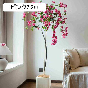 tFCNO[ ^ fBXvC IV  A u[QrA ȒPeiX ۑ  Ƃi  ItBX JX J sN Vz 220CM  