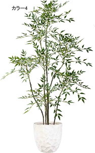 tFCNO[  ^ ͂Ȃ CeAO[  CeA sv rO er R[i[p i J[1 ItBXO[ Vzj 180CM JƏj N