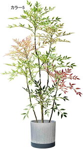 tFCNO[  ^ ͂Ȃ CeAO[  CeA sv rO er R[i[p i J[1 ItBXO[ Vzj 180CM JƏj N