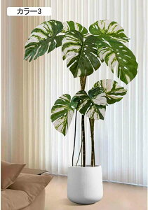 Xe lHϗtA ^  J[3  CeA i` RȎp ItBXΉ Xܑ  Ƃi JXj JƏj Ԏd؂ sv 130CM v